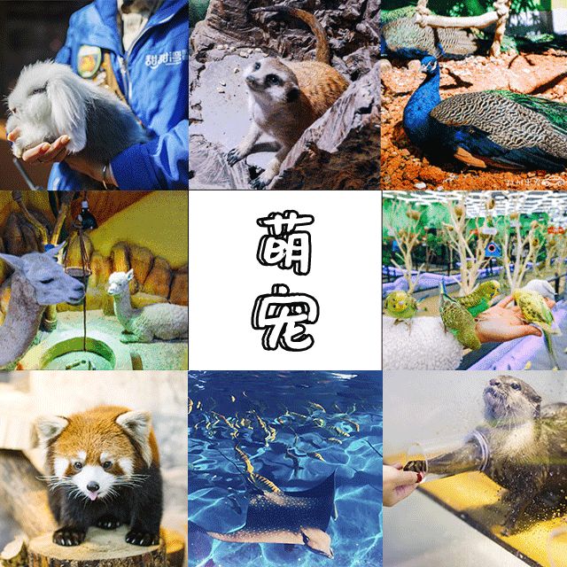 吉安游乐园在哪(吉安有游乐场吗)