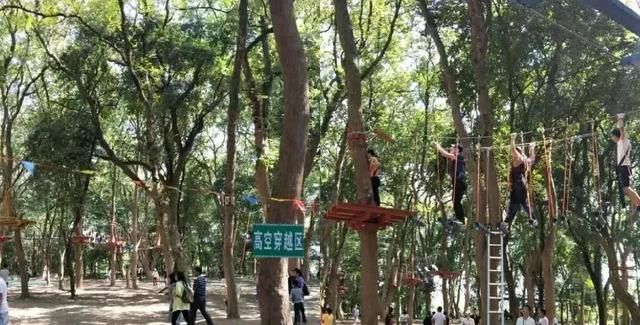 吉安游乐园在哪(吉安有游乐场吗)
