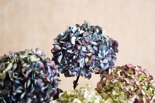 干花放在哪(买回来的假花放哪里好)