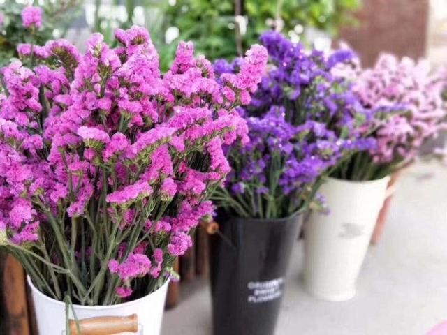 干花放在哪(买回来的假花放哪里好)