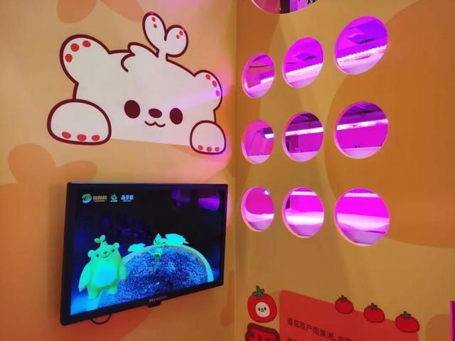 萌芽熊在哪(萌芽熊图片大全可爱)