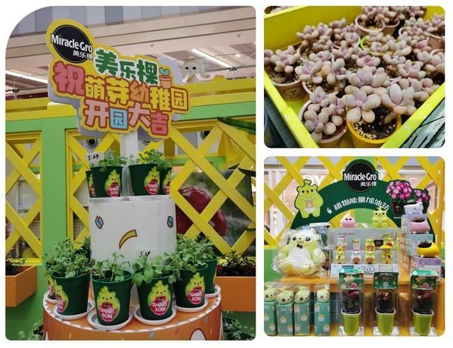 萌芽熊在哪(萌芽熊图片大全可爱)