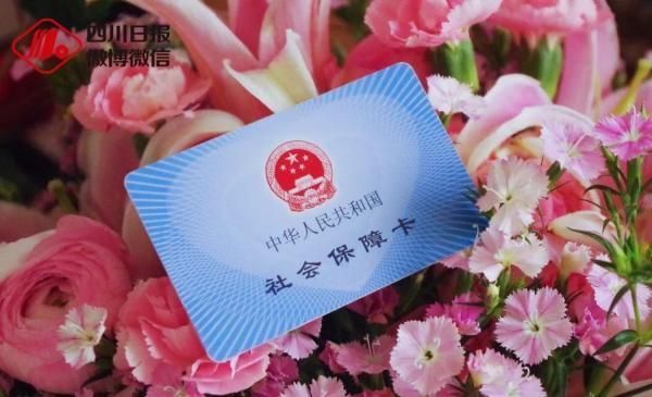 四川税务手机app官方下载(四川税务电子税务局官网)