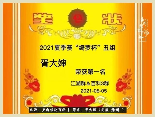 骑士之歌的肉在哪(骑士之歌肉124章)