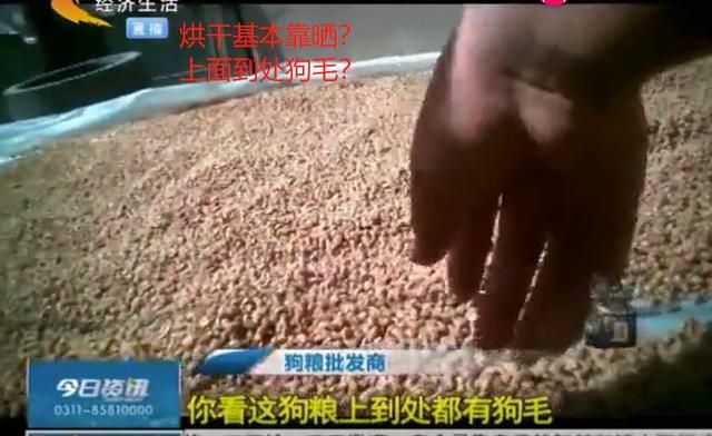 网上在哪里买狗粮好(在网上买狗哪个平台最便宜)