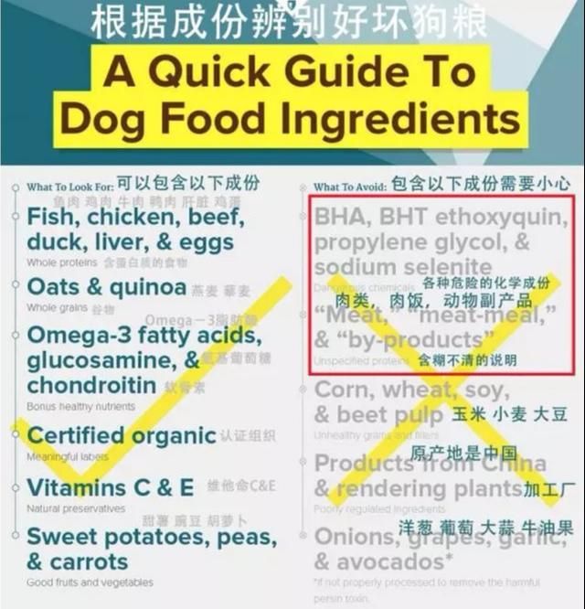 网上在哪里买狗粮好(在网上买狗哪个平台最便宜)