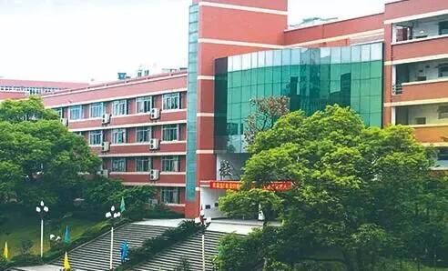 重庆市育才中学招生电话(重庆育才招生部电话)