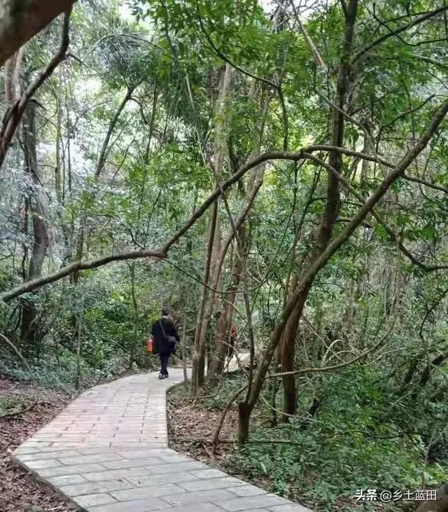 东场村在哪(泰兴市东场村)