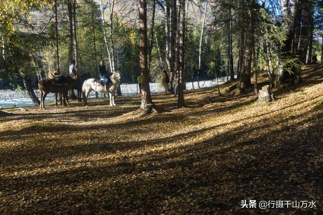 和木在哪里(安踏丁世忠之子婚宴)