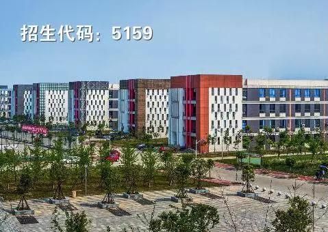 遂宁四川速录培训学校在哪里(柴琪培训机构大概多钱)