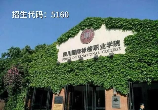 遂宁四川速录培训学校在哪里(柴琪培训机构大概多钱)