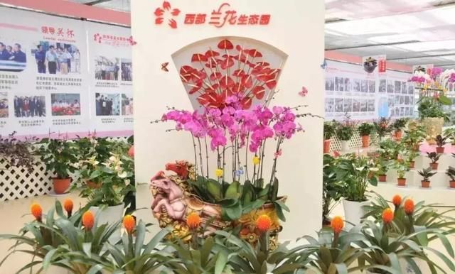 眉县小吃一条街在哪里(眉县有什么好吃的)