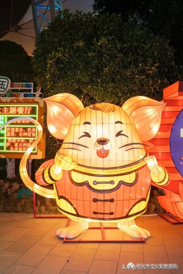 武汉蔡甸花博会在哪里(蔡甸花博会地址在哪里)