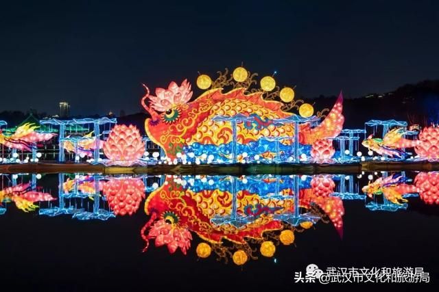 武汉蔡甸花博会在哪里(蔡甸花博会地址在哪里)