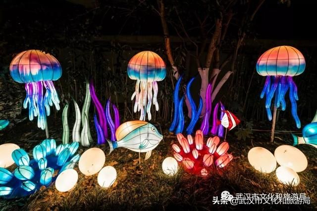 武汉蔡甸花博会在哪里(蔡甸花博会地址在哪里)