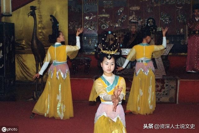 寻仙深山灵芝在哪(东北野生灵芝)