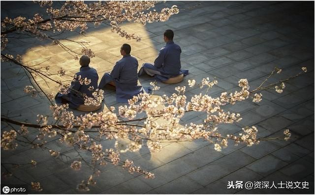寻仙深山灵芝在哪(东北野生灵芝)