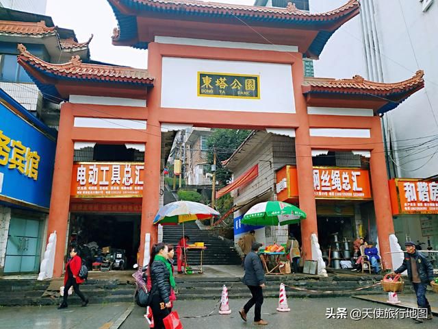 邵阳动物园在哪里(邵阳动物园)