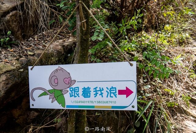 庆云洞在哪里(佛山庆云洞风景区)