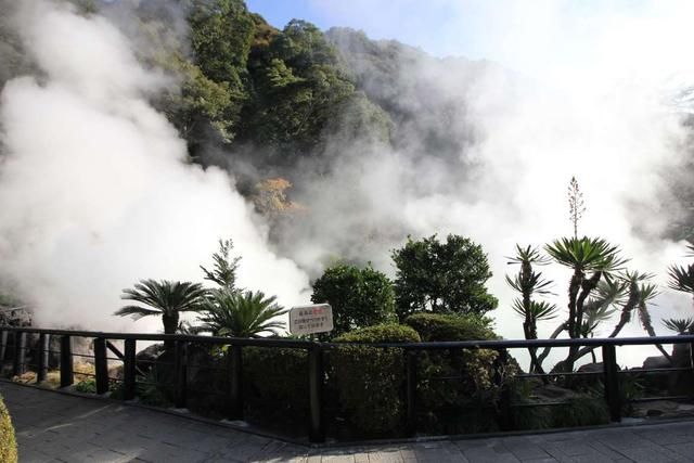 日本别府在哪里(日本别府旅游)