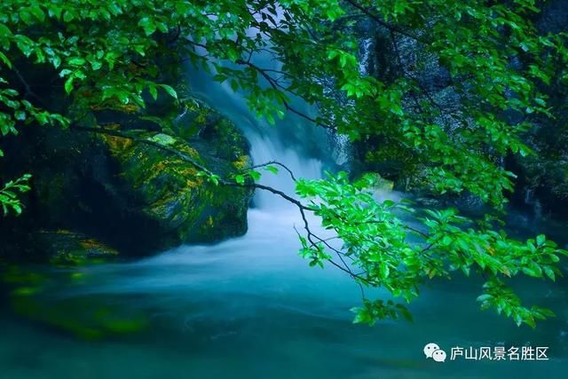 爱丽丝城堡在哪里(爱丽丝城堡酒庄怎么样)