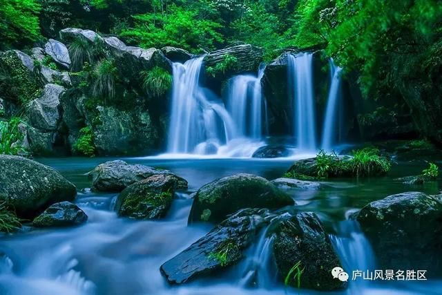 爱丽丝城堡在哪里(爱丽丝城堡酒庄怎么样)