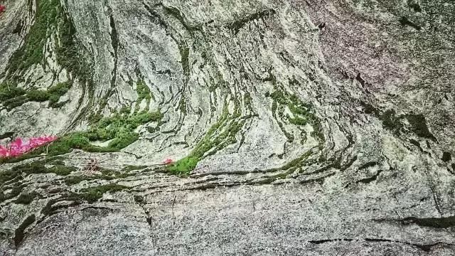 爱丽丝城堡在哪里(爱丽丝城堡酒庄怎么样)