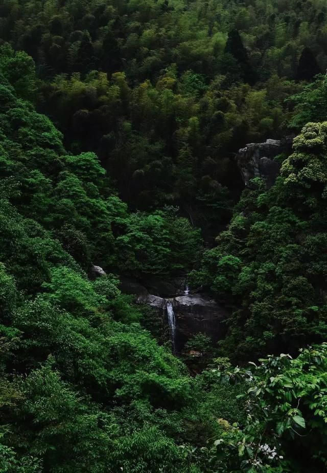 爱丽丝城堡在哪里(爱丽丝城堡酒庄怎么样)