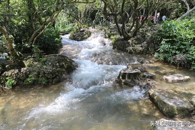 荔波喀斯特森林在哪(荔泼喀斯特森林)