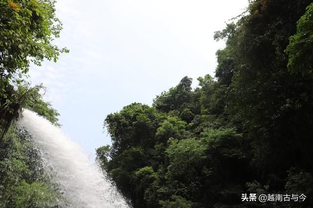 荔波喀斯特森林在哪(荔泼喀斯特森林)