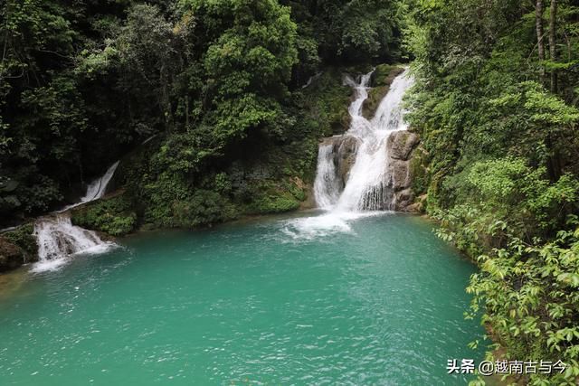 荔波喀斯特森林在哪(荔泼喀斯特森林)