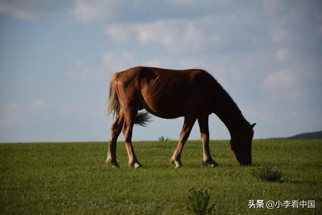 木兰围场在哪个省(木兰围场名字由来)