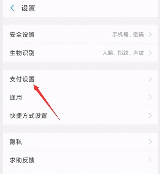 支付刷脸支付在哪里(刷脸支付怎么赚钱)