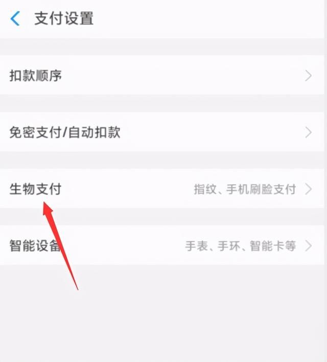 支付刷脸支付在哪里(刷脸支付怎么赚钱)