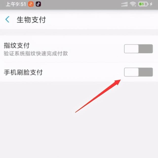 支付刷脸支付在哪里(刷脸支付怎么赚钱)