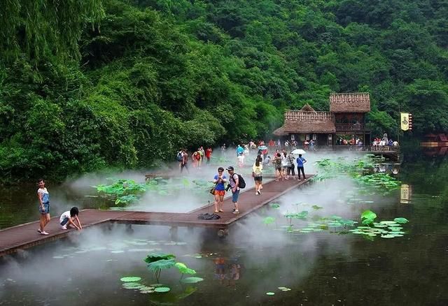 信用住在哪(信用住怎么套出来的)