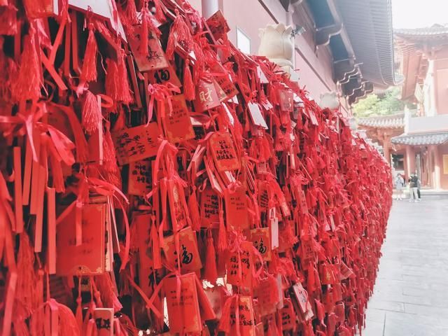 观音寺在哪里(南观音寺在哪里)