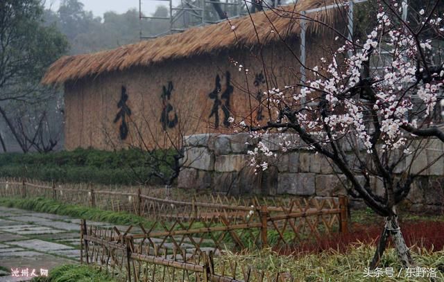 丰县在哪里(奉贤在哪里)