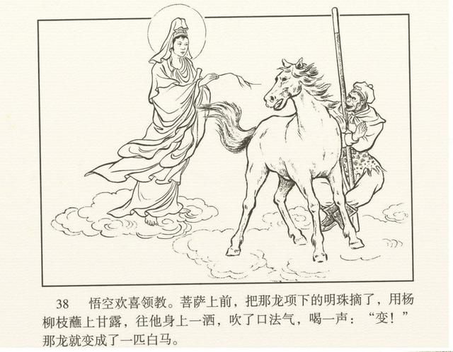 在哪收了白龙马(唐僧在哪收了白龙马)
