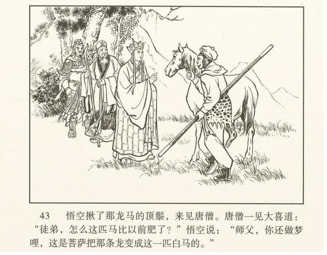 在哪收了白龙马(唐僧在哪收了白龙马)