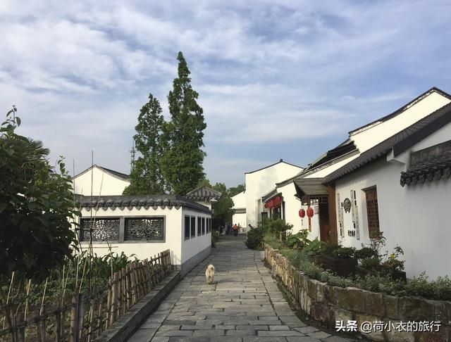 上海旅游住在哪里方便(上海旅游住在哪里方便实惠)