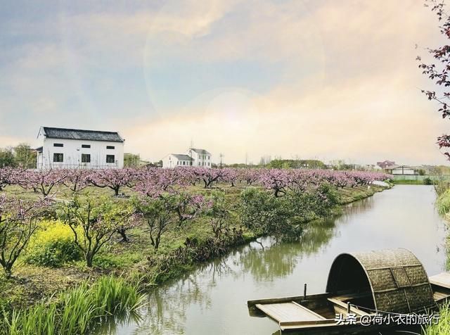 上海旅游住在哪里方便(上海旅游住在哪里方便实惠)