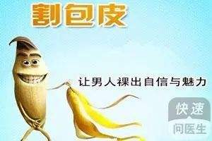 做包皮在哪里的简单介绍