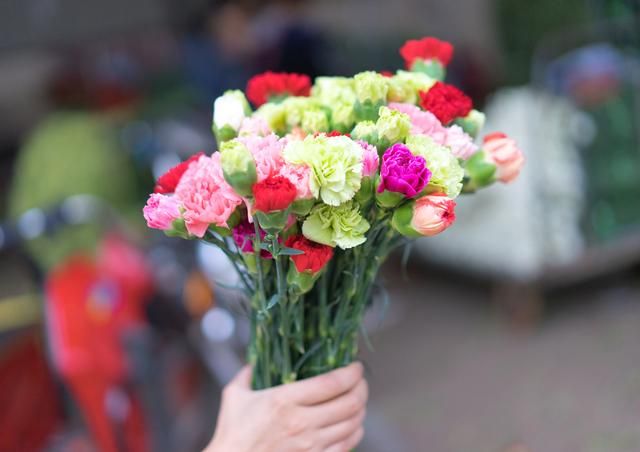 昆明最大的花市在哪里(昆明的斗南花市在哪里)