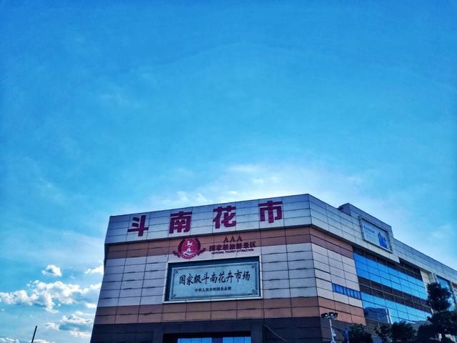昆明最大的花市在哪里(昆明的斗南花市在哪里)