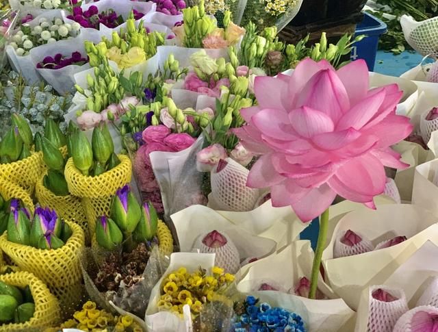 昆明最大的花市在哪里(昆明的斗南花市在哪里)