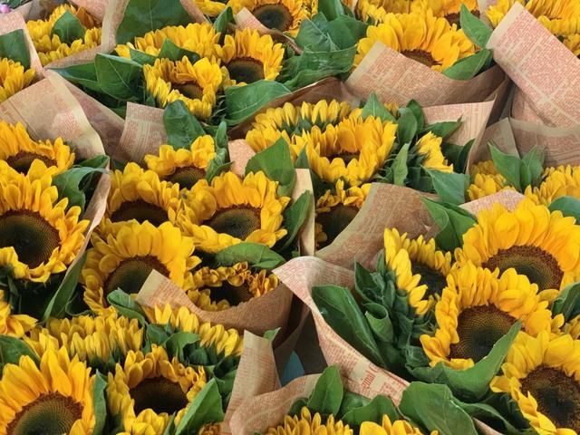 昆明最大的花市在哪里(昆明的斗南花市在哪里)