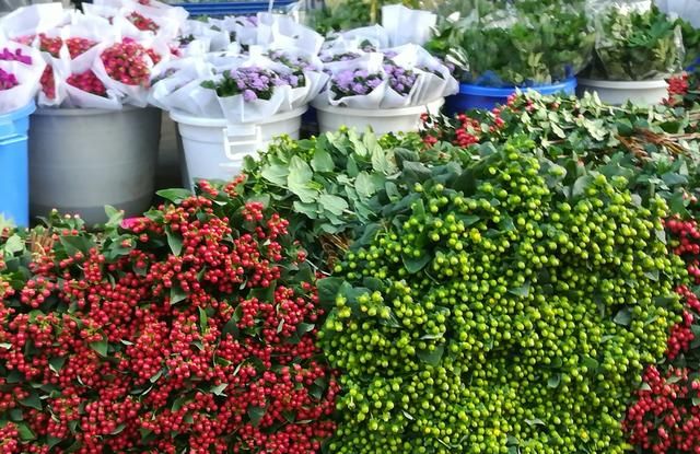 昆明最大的花市在哪里(昆明的斗南花市在哪里)