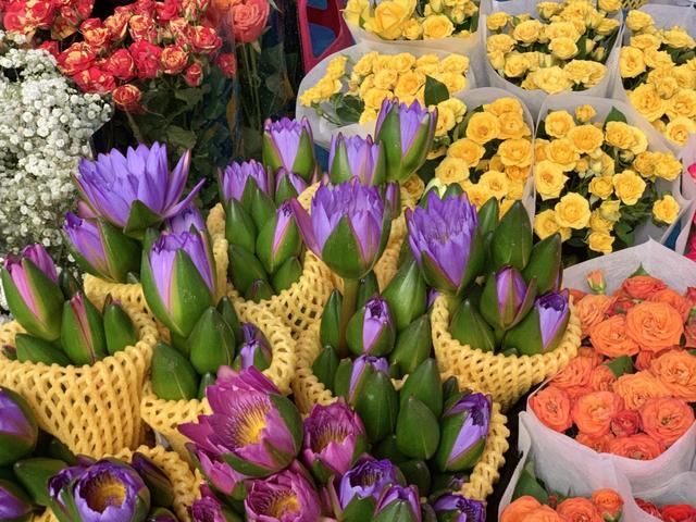 昆明最大的花市在哪里(昆明的斗南花市在哪里)