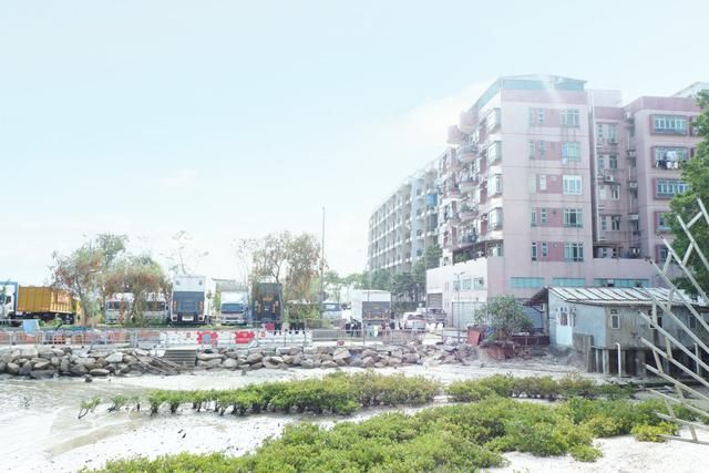海湾街在哪(海湾接口卡)